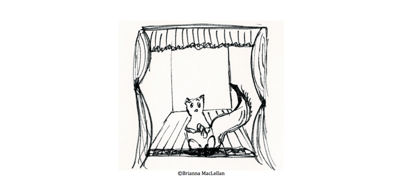 Screen Shot 2018-11-12 at 7.55.41 PM